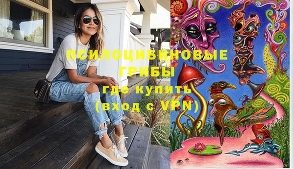 твердый Вязники