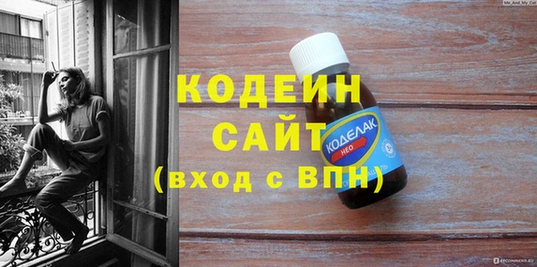 прущие грибы Горно-Алтайск